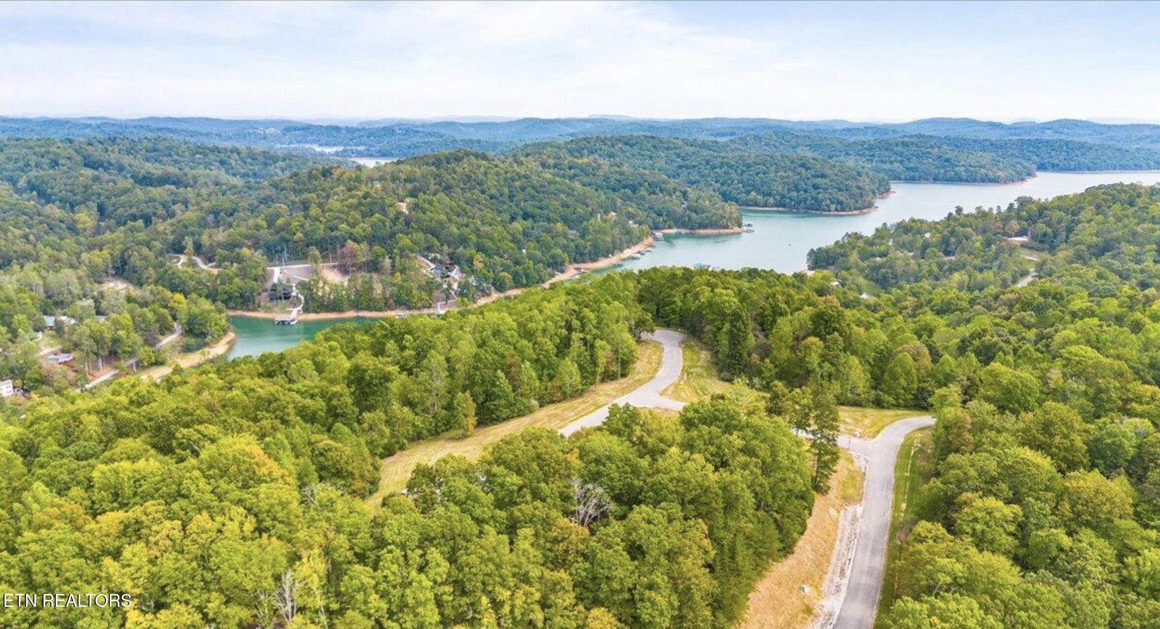 Norris Lake Real Estate - Image# 4