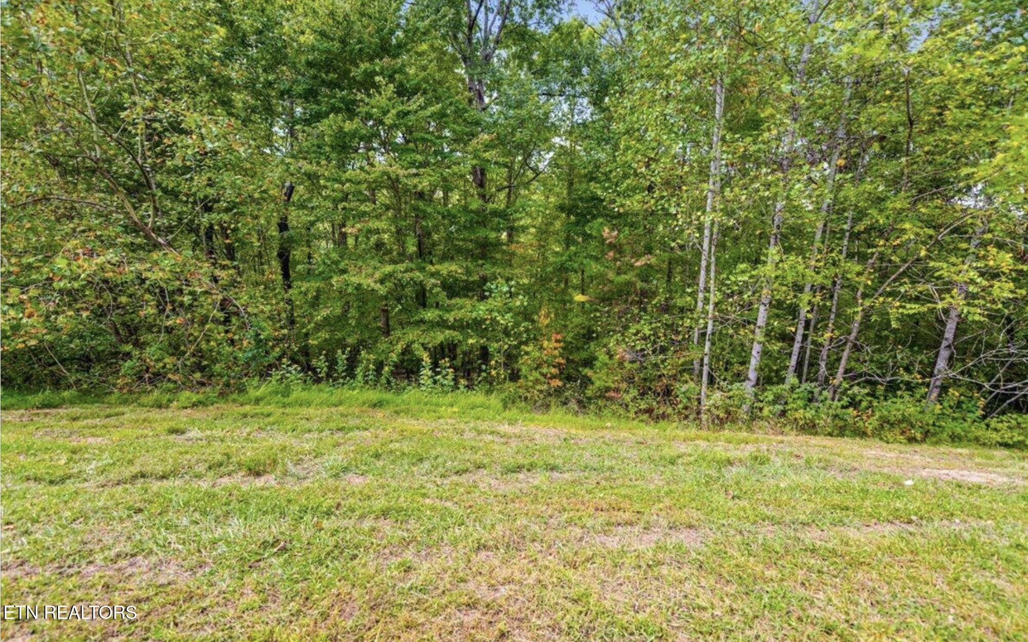 Norris Lake Real Estate - Image# 5
