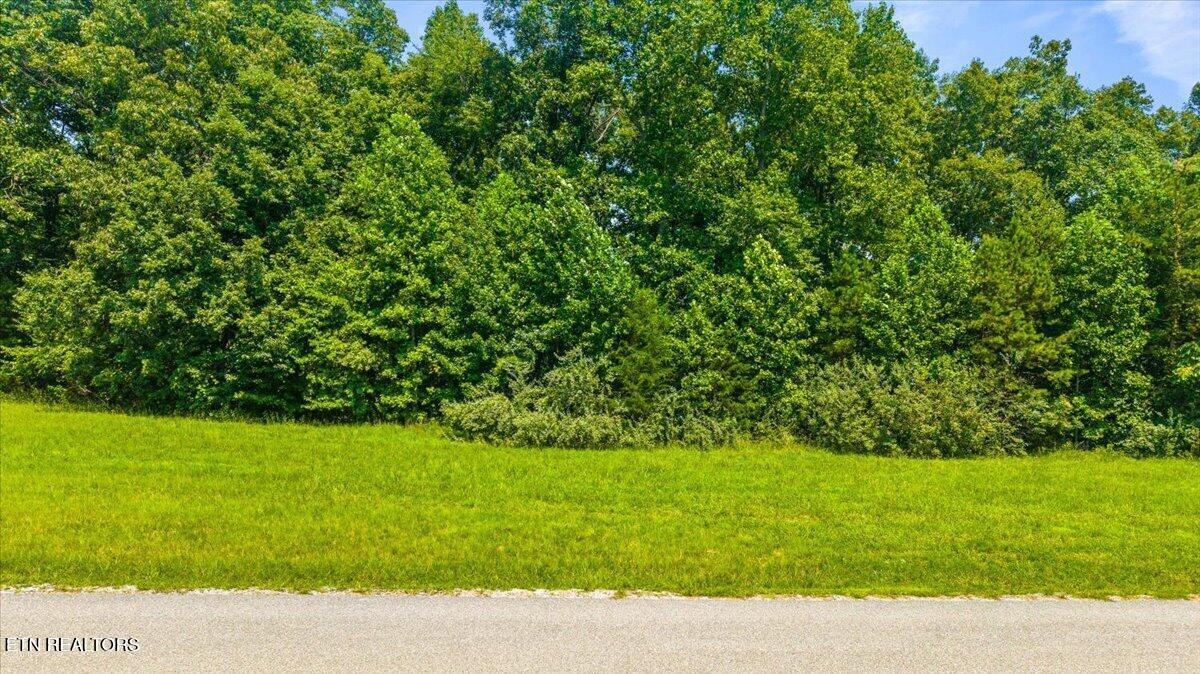 Lot 44 Old Hearth, Lafollette, TN - Norris Lake Real Estate - Image# 18