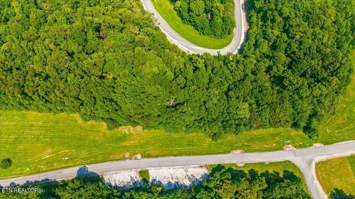 Lot 44 Old Hearth, Lafollette, TN - Norris Lake Real Estate - Image# 20