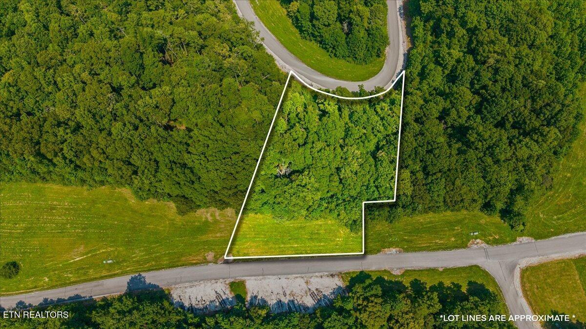 Lot 44 Old Hearth, Lafollette, TN - Norris Lake Real Estate - Image# 8