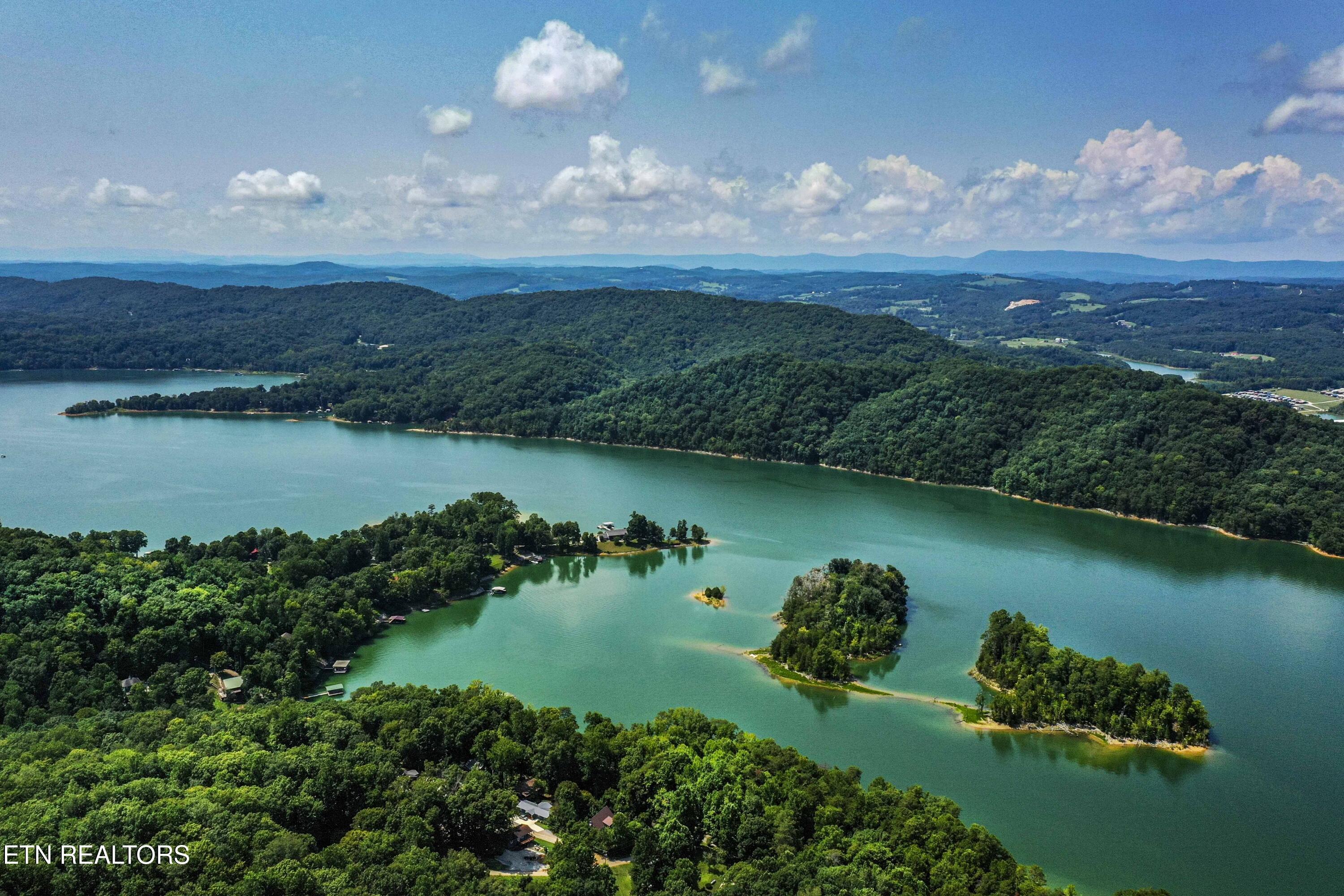 Norris Lake Real Estate - Image# 20