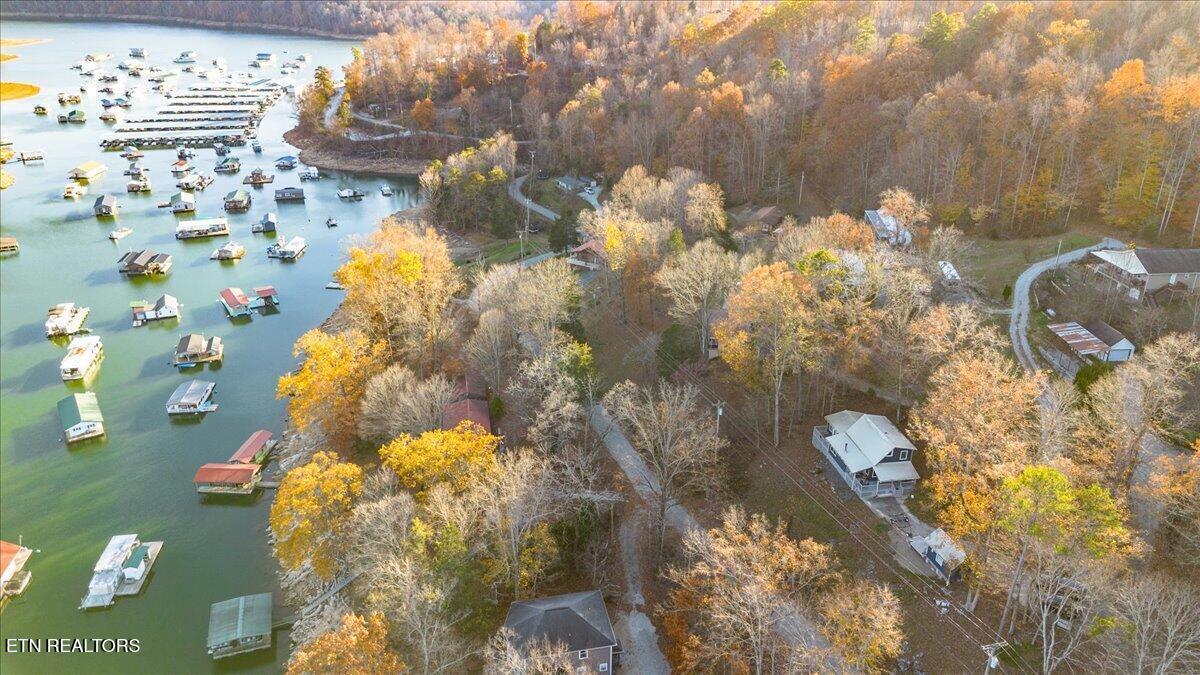 Norris Lake Real Estate - Image# 41