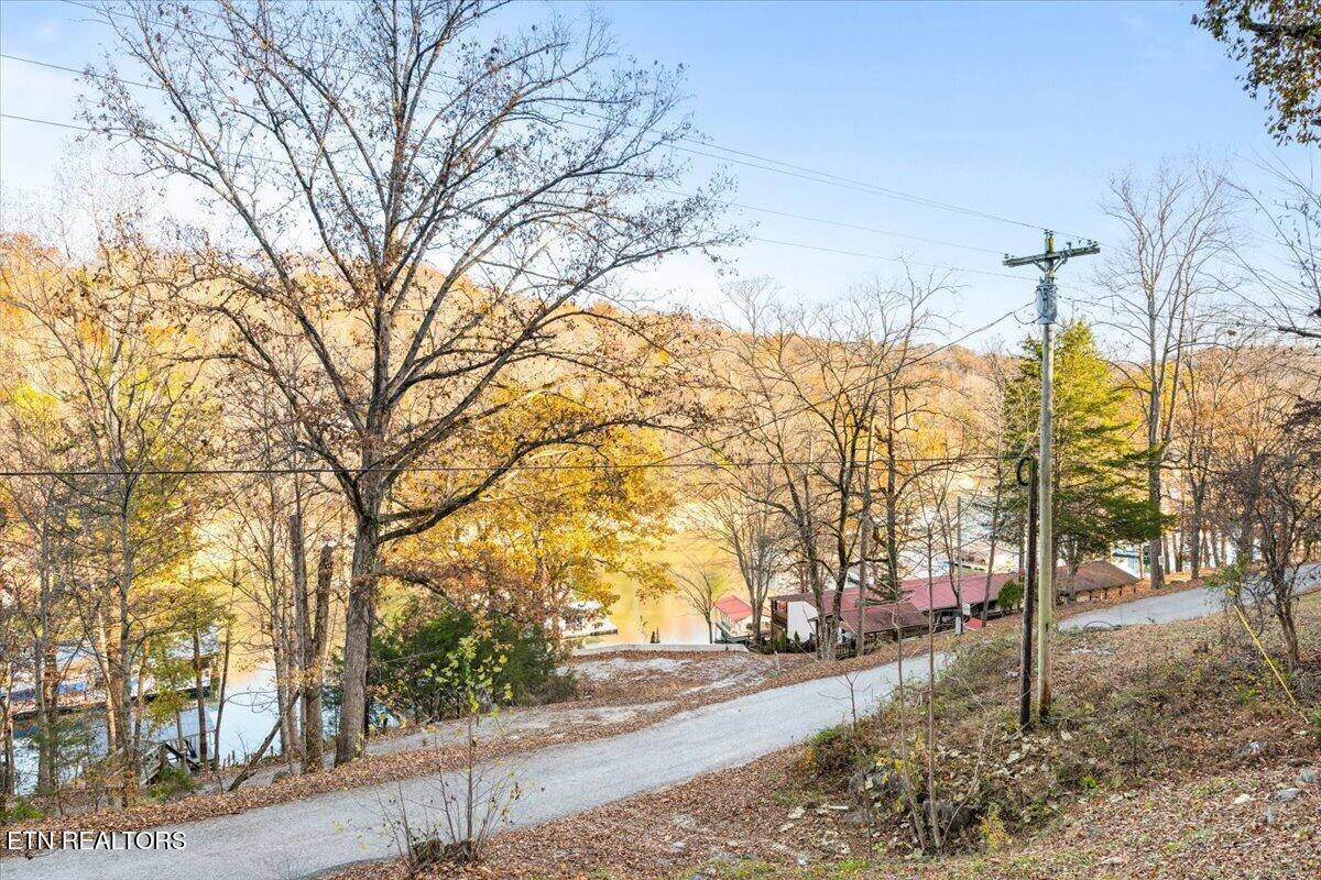 Norris Lake Real Estate - Image# 45
