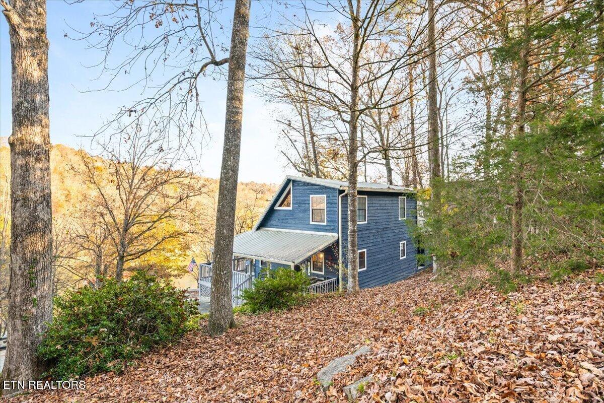 Norris Lake Real Estate - Image# 49