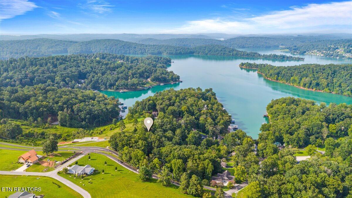 Norris Lake Real Estate - Image# 5
