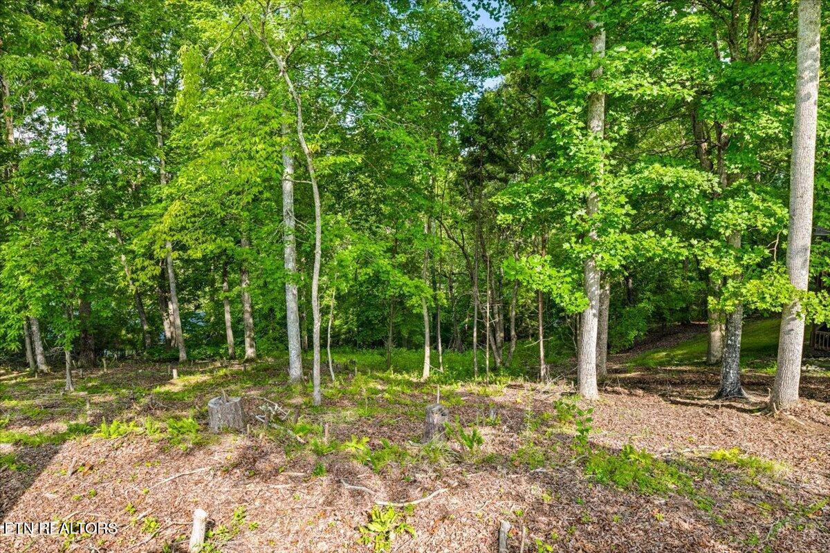 Norris Lake Real Estate - Image# 8