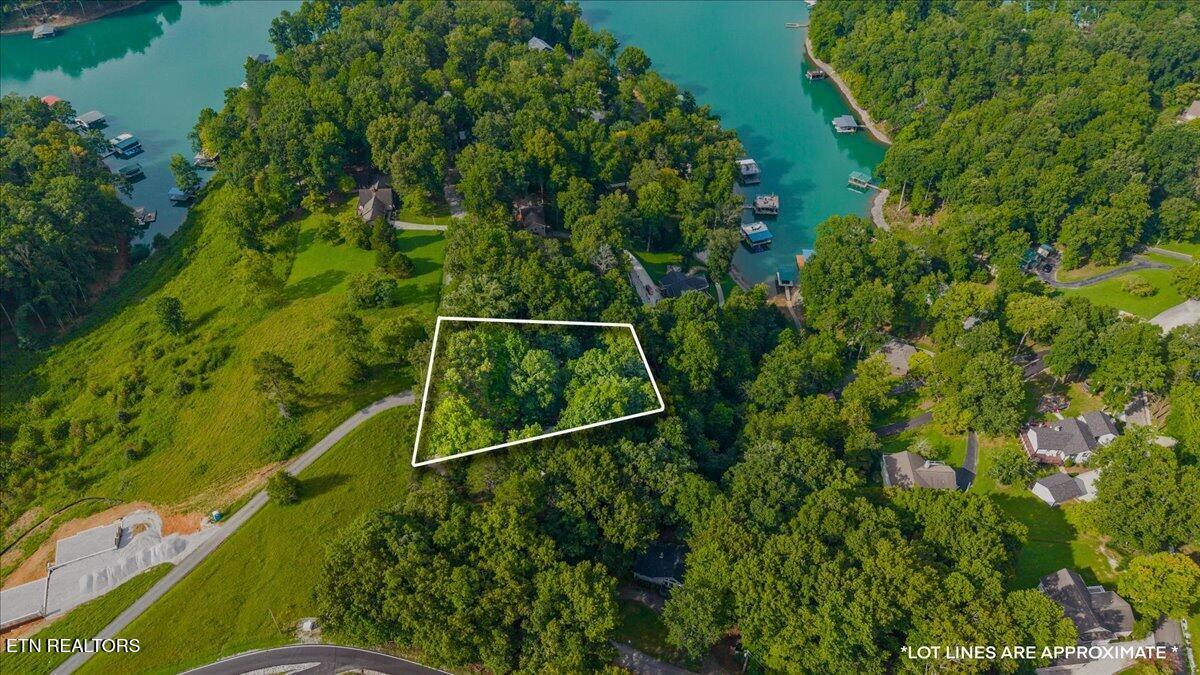 Norris Lake Real Estate - Image# 1