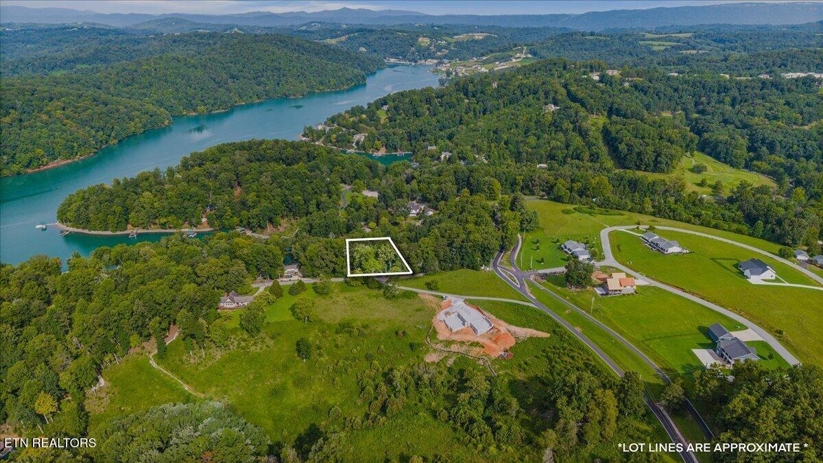 Norris Lake Real Estate - Image# 3