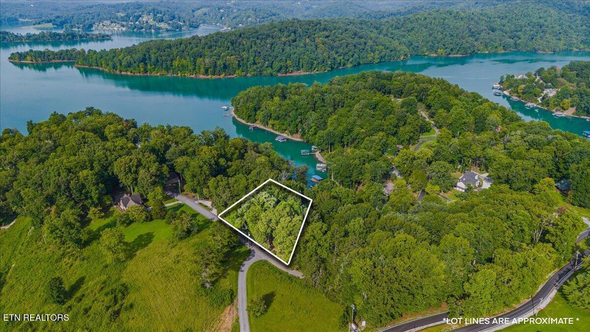 Norris Lake Real Estate - Image# 2