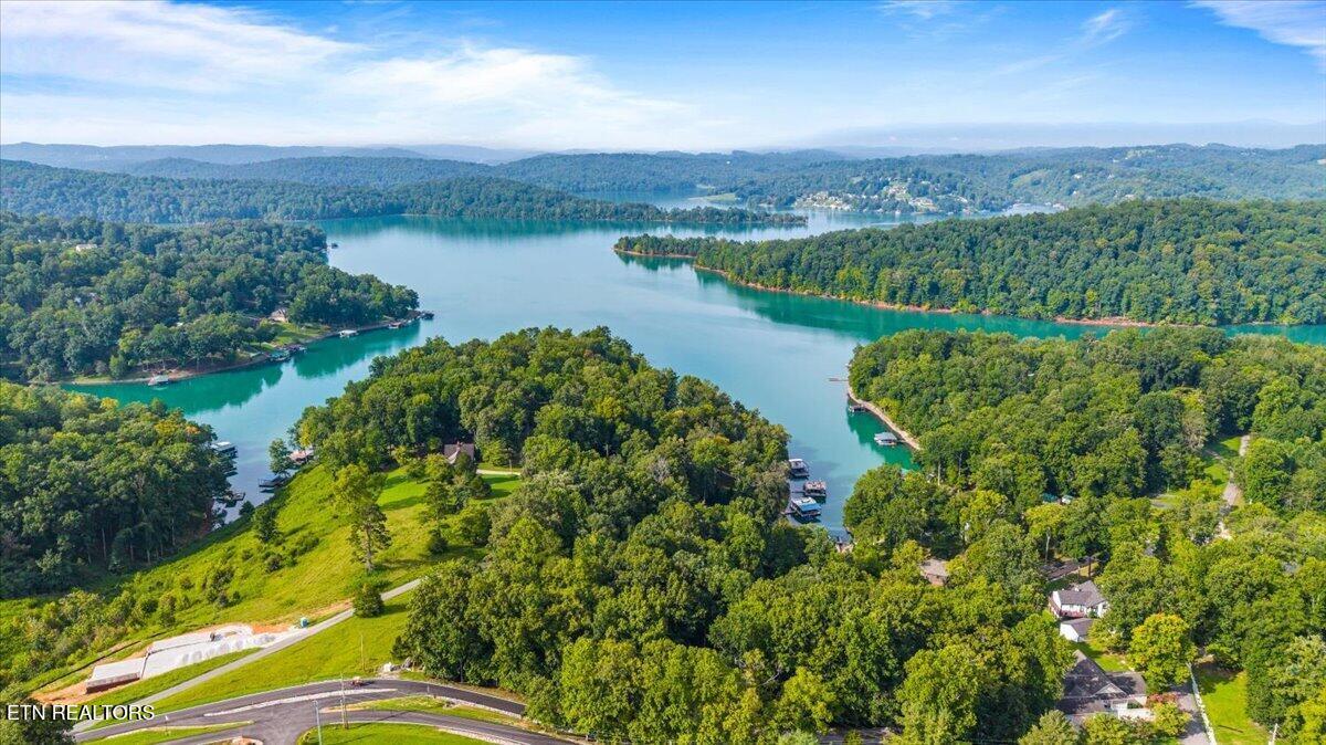 Norris Lake Real Estate - Image# 9