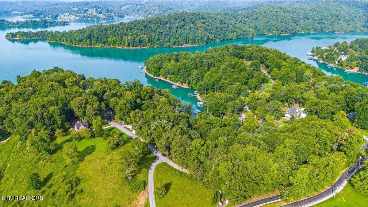 Norris Lake Real Estate - Image# 10