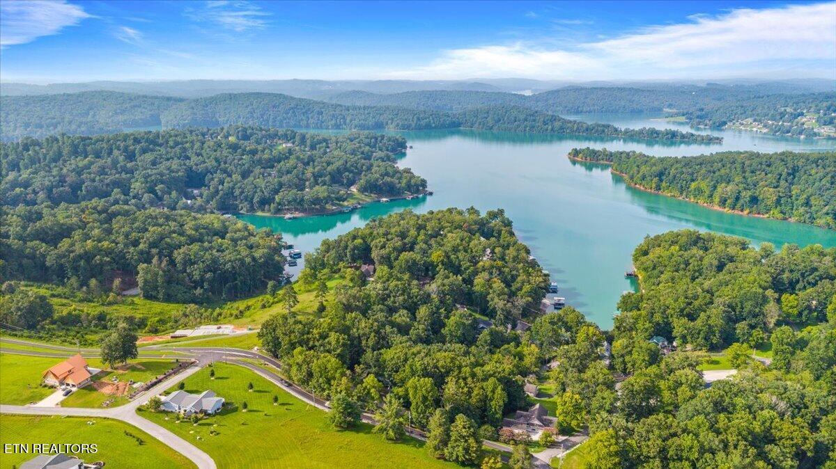Norris Lake Real Estate - Image# 11
