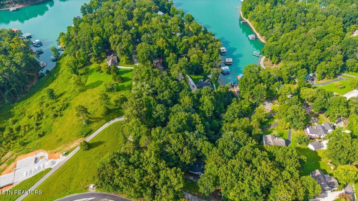 Norris Lake Real Estate - Image# 12