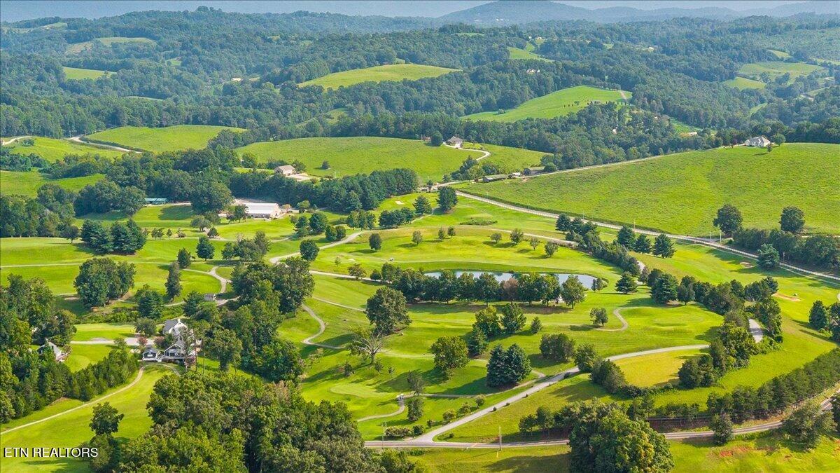 Norris Lake Real Estate - Image# 13