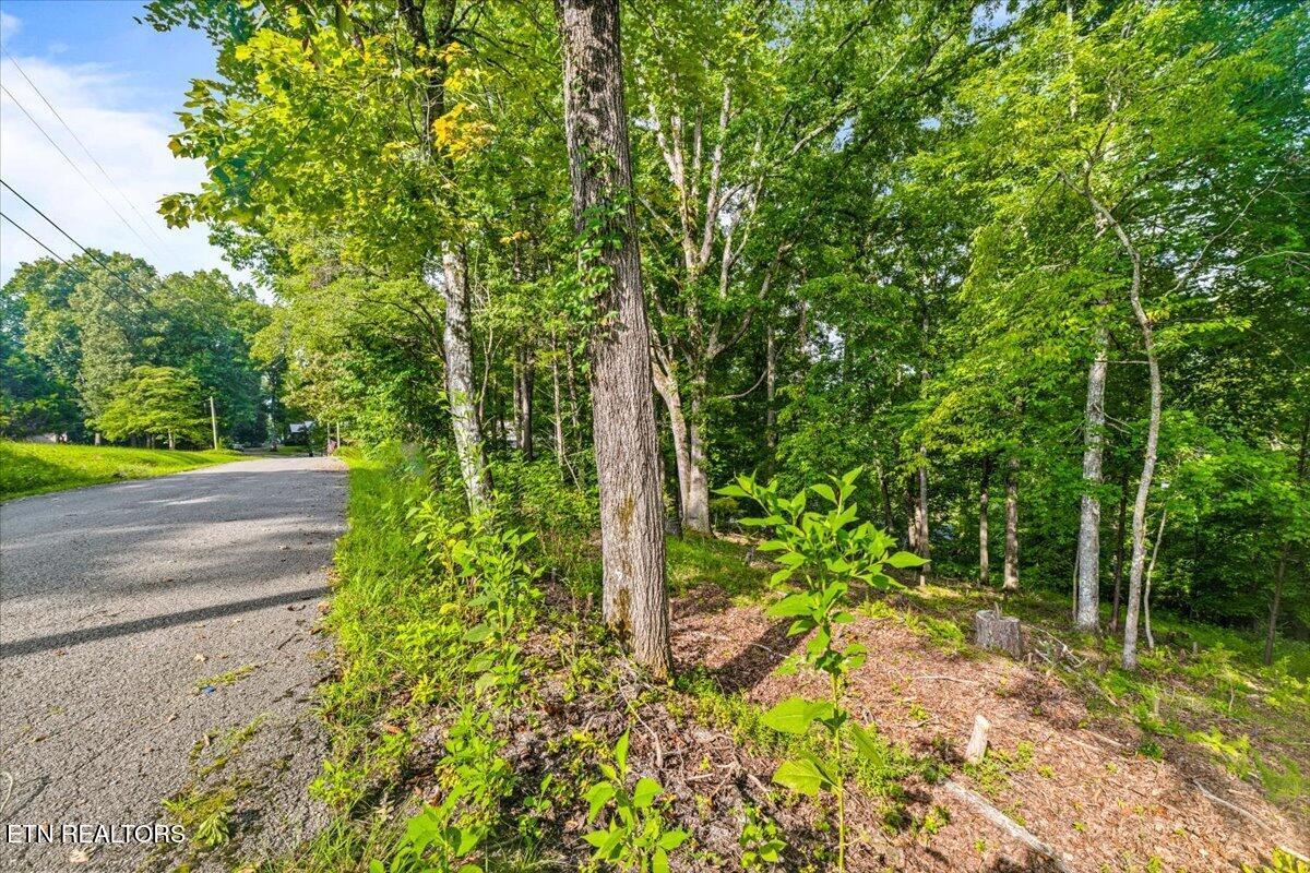 Norris Lake Real Estate - Image# 22