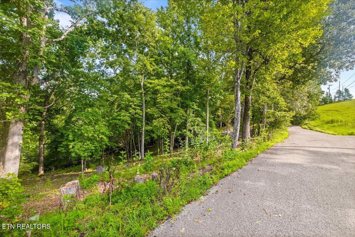 Norris Lake Real Estate - Image# 23