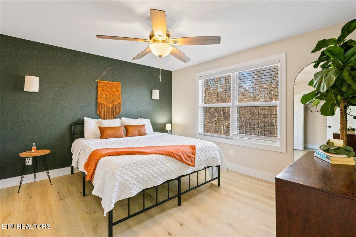 Norris Lake Real Estate - Image# 18