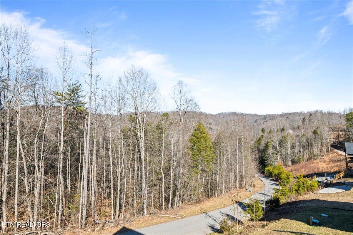 Norris Lake Real Estate - Image# 51