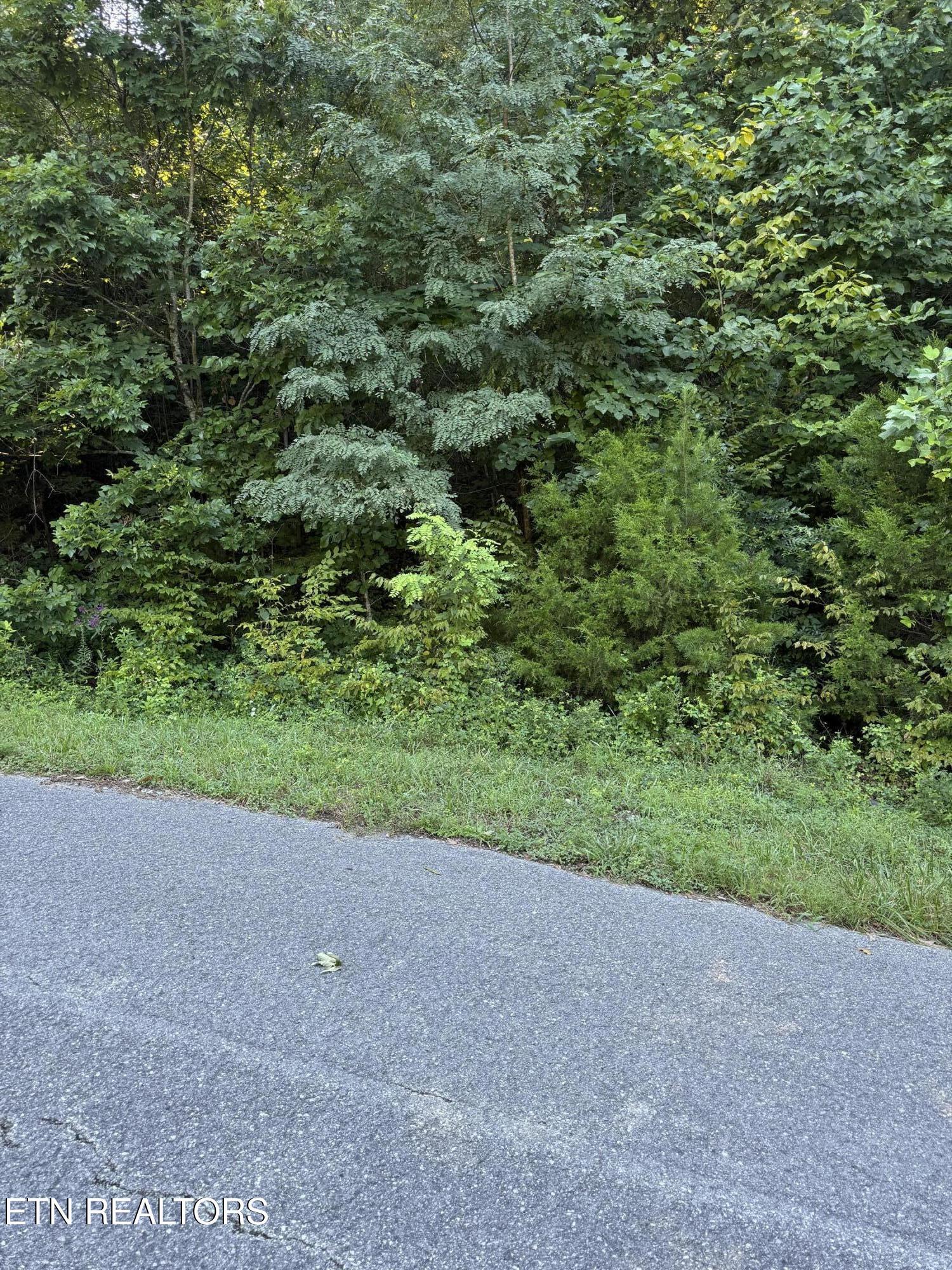 Norris Lake Real Estate - Image# 1