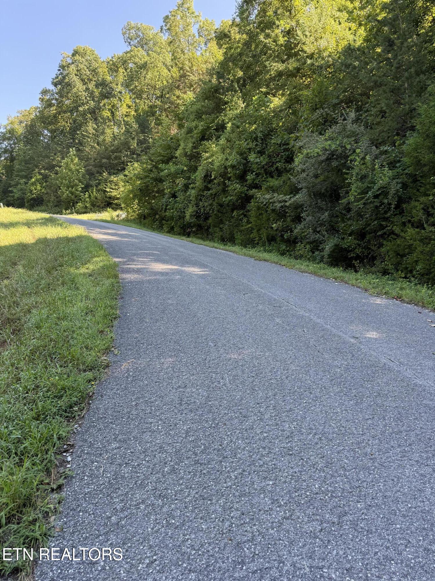 Norris Lake Real Estate - Image# 2