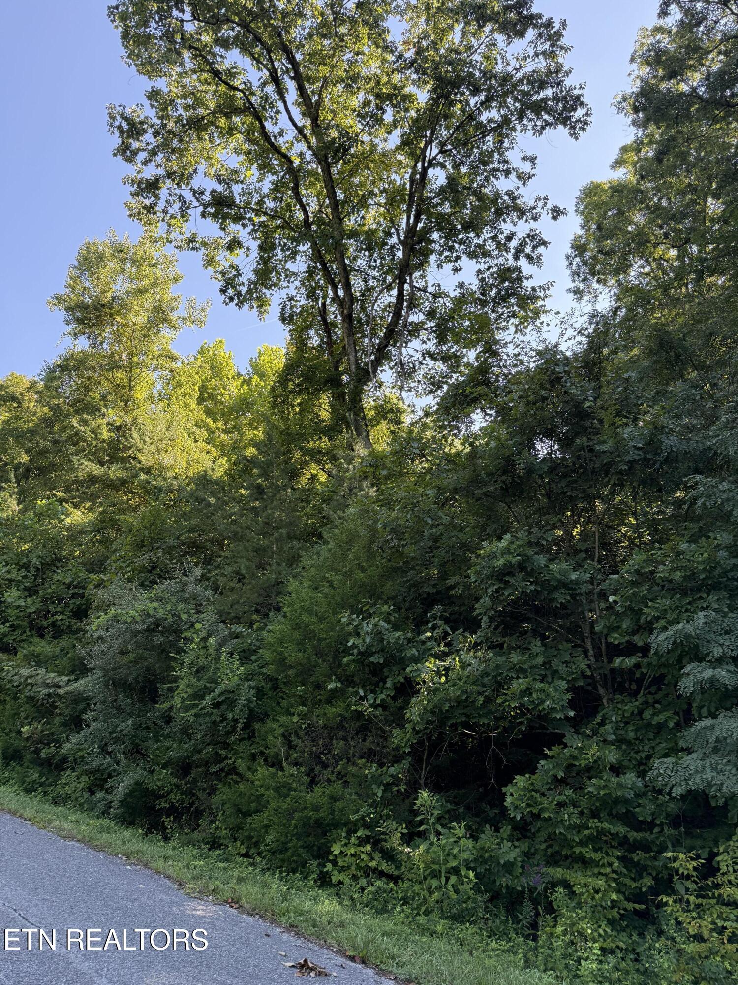 Norris Lake Real Estate - Image# 3