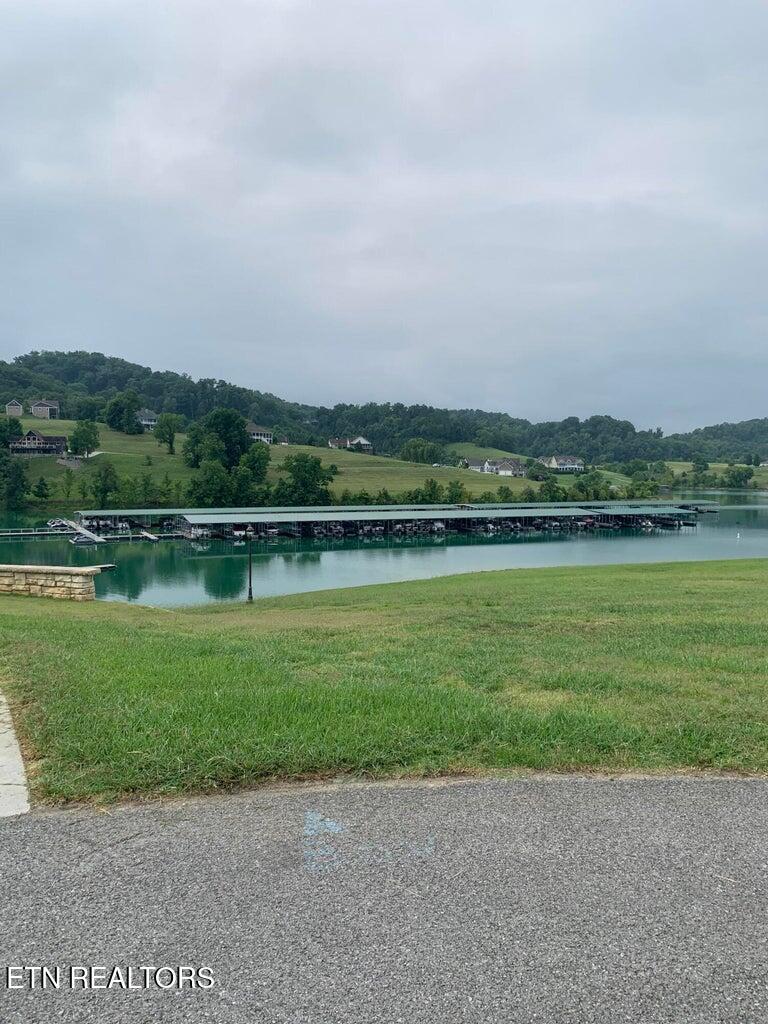 Norris Lake Real Estate - Image# 6