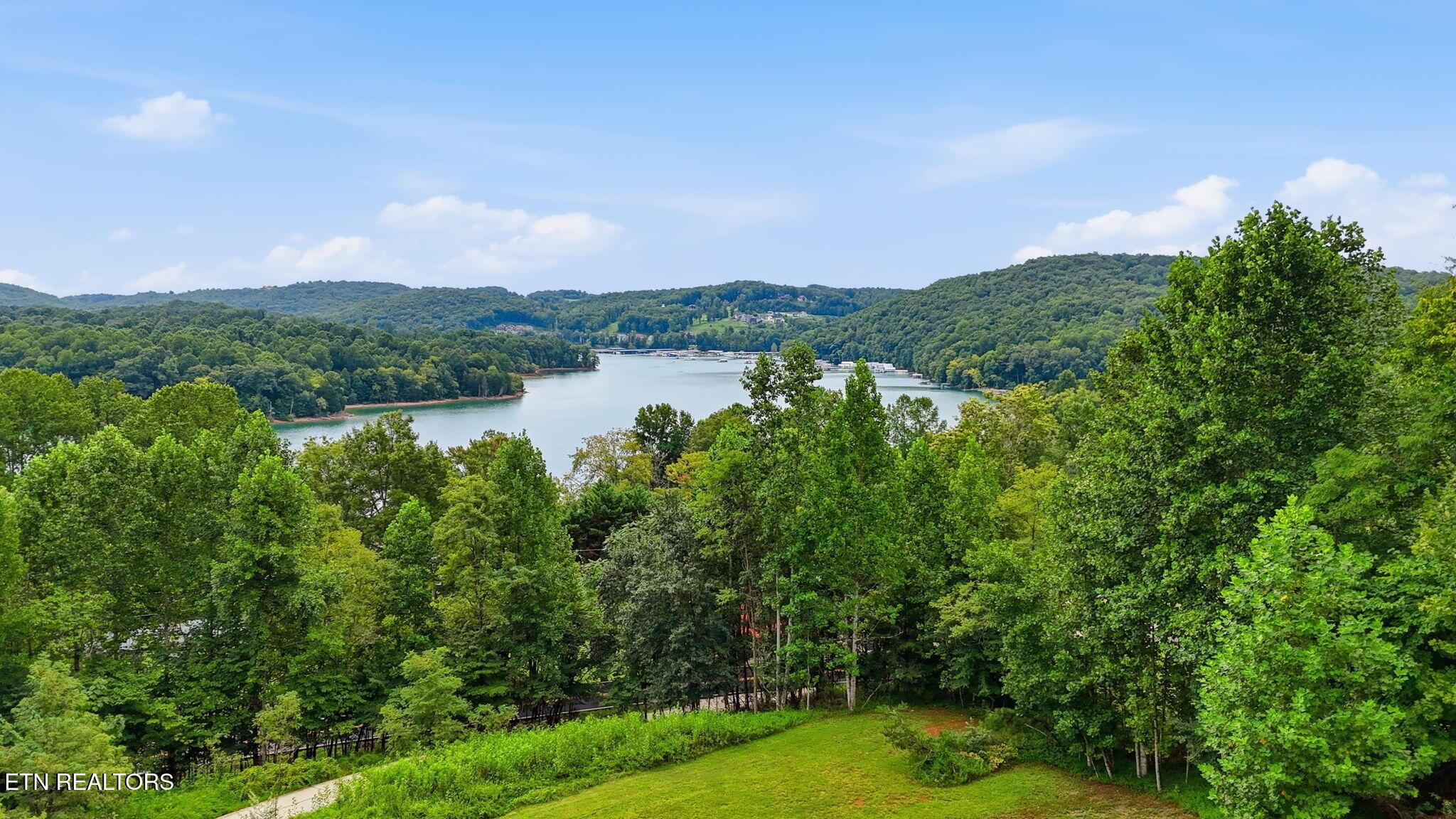 2045 Park Lane, Andersonville, TN - Norris Lake Real Estate - Image# 4