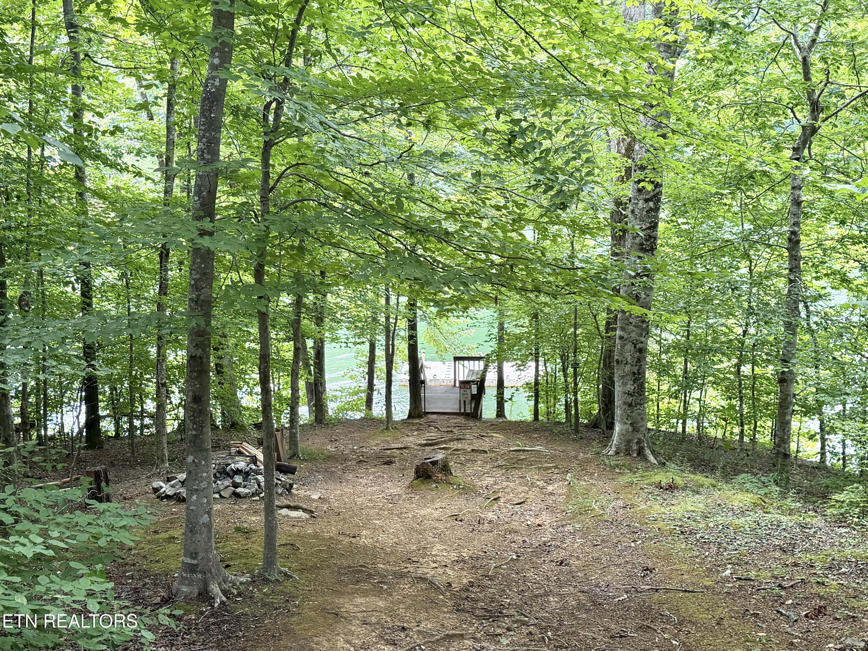 125 Shoreside Rd, New Tazewell, TN - Norris Lake Real Estate - Image# 40