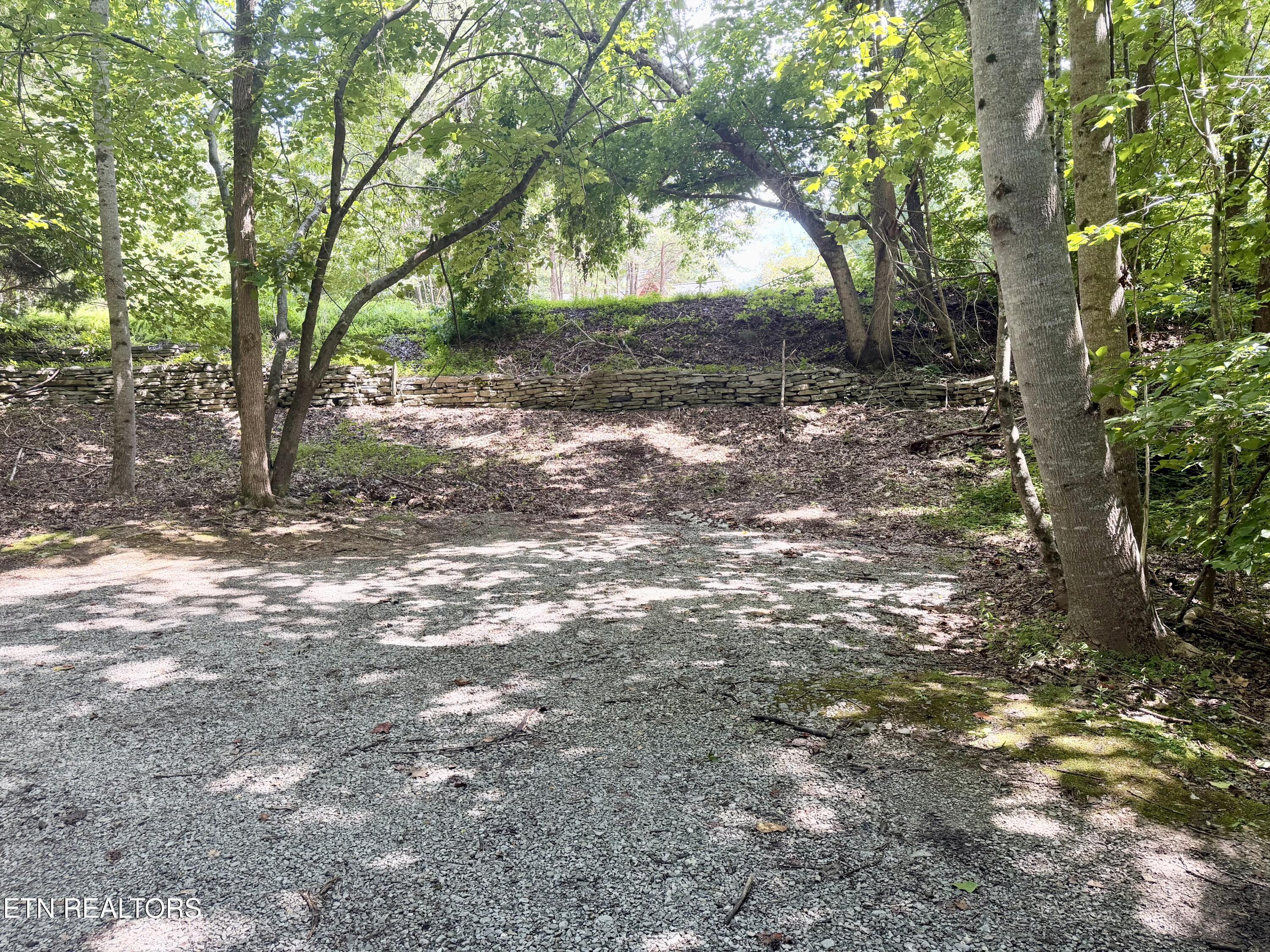 125 Shoreside Rd, New Tazewell, TN - Norris Lake Real Estate - Image# 51