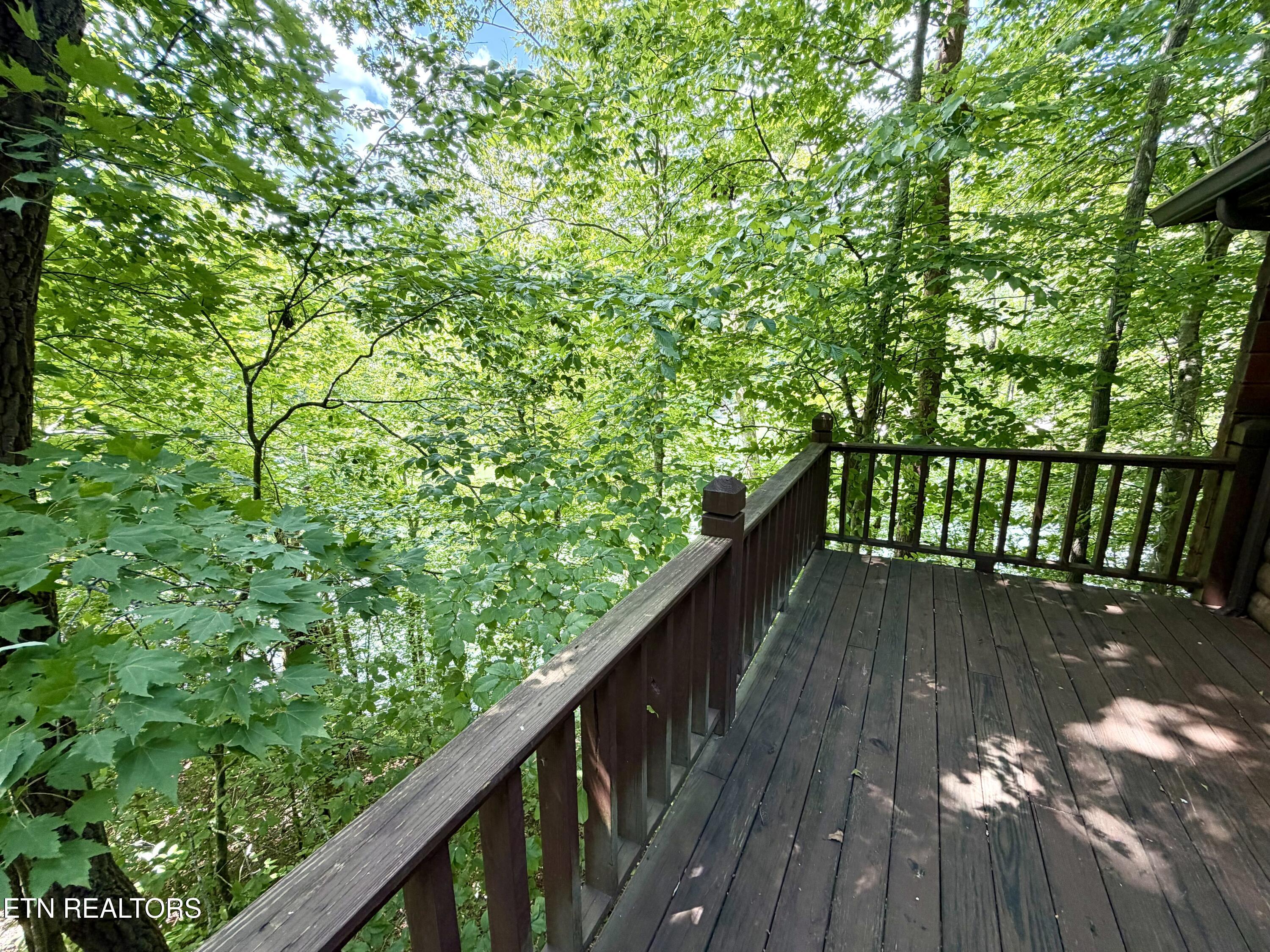 125 Shoreside Rd, New Tazewell, TN - Norris Lake Real Estate - Image# 38