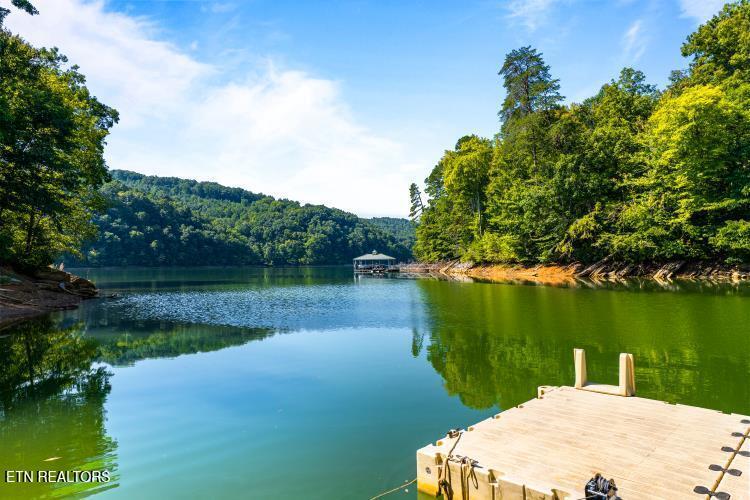 Norris Lake Real Estate - Image# 6