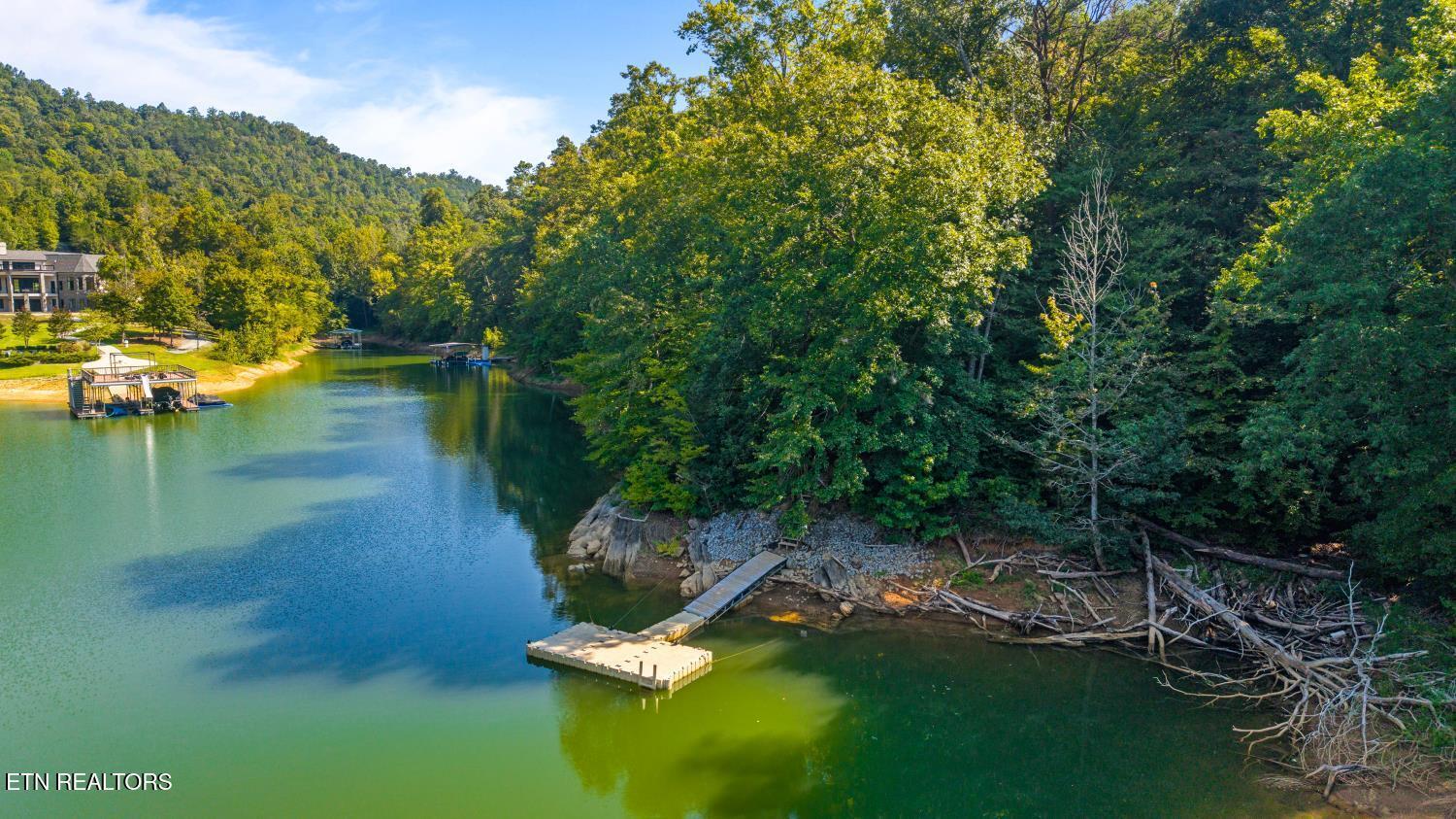 Norris Lake Real Estate - Image# 4