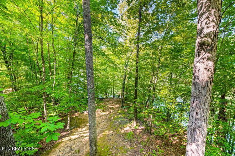Norris Lake Real Estate - Image# 24