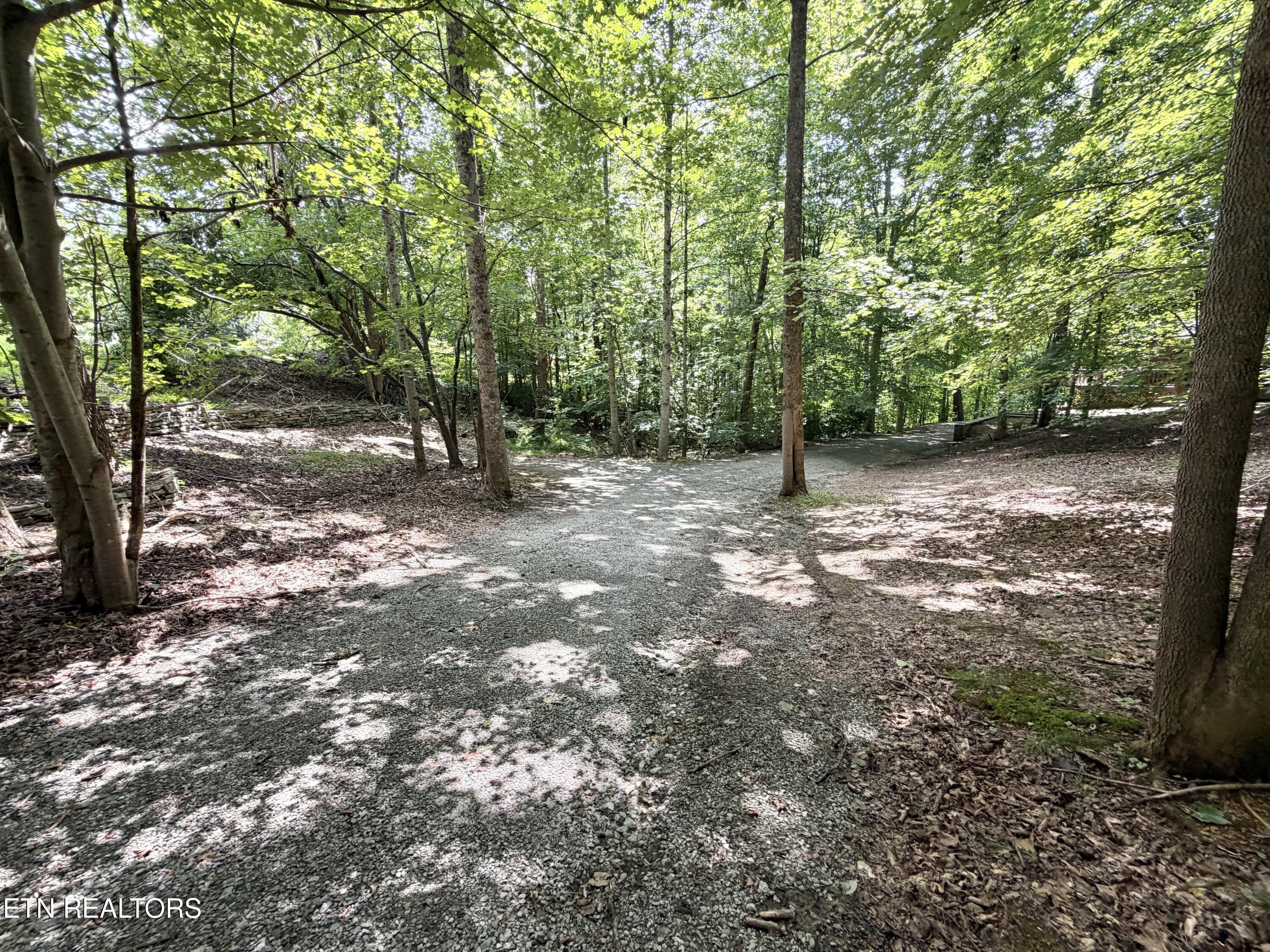 Norris Lake Real Estate - Image# 107