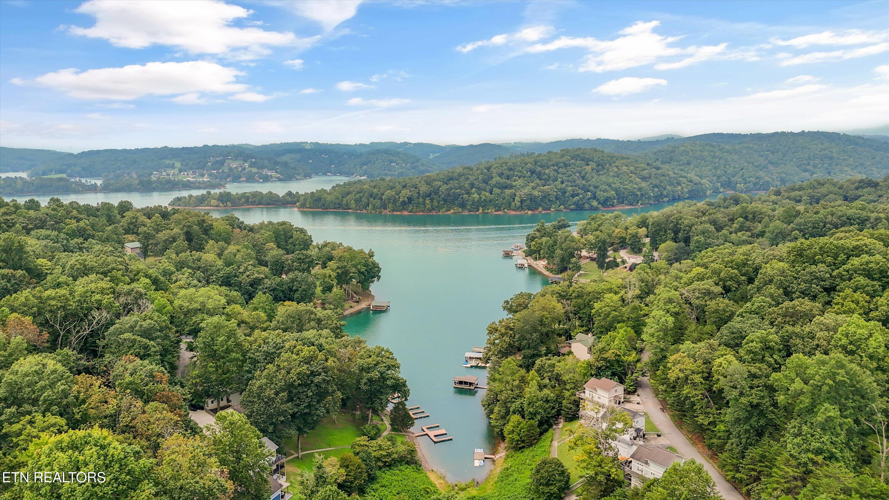 Norris Lake Real Estate - Image# 50