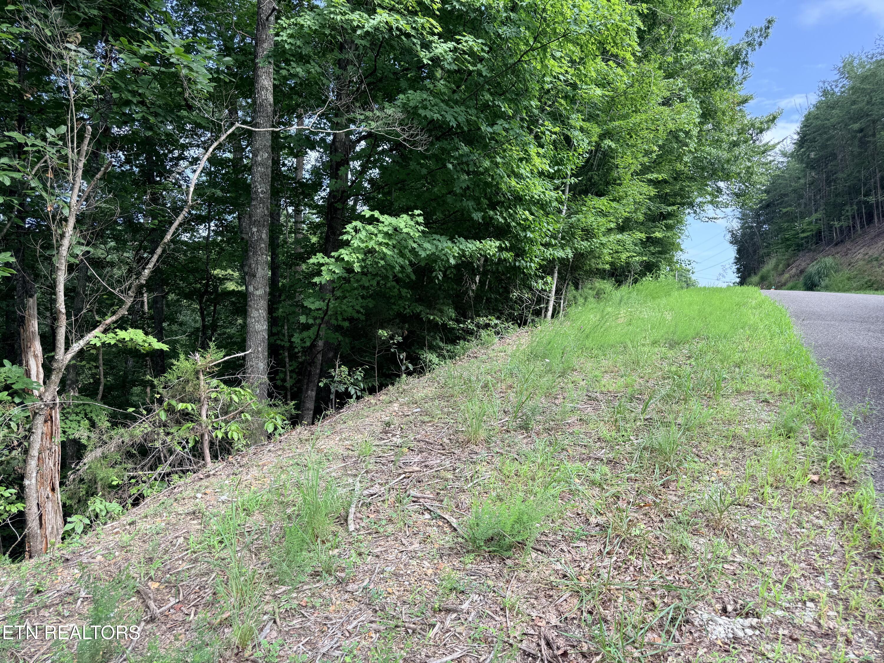 Norris Lake Real Estate - Image# 19