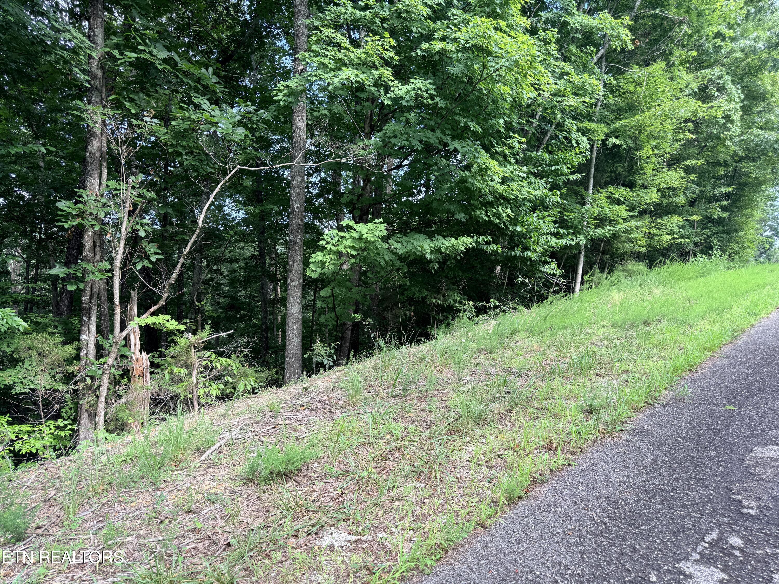 Norris Lake Real Estate - Image# 5