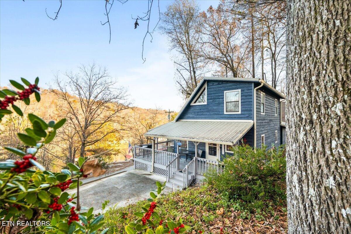 Norris Lake Real Estate - Image# 46