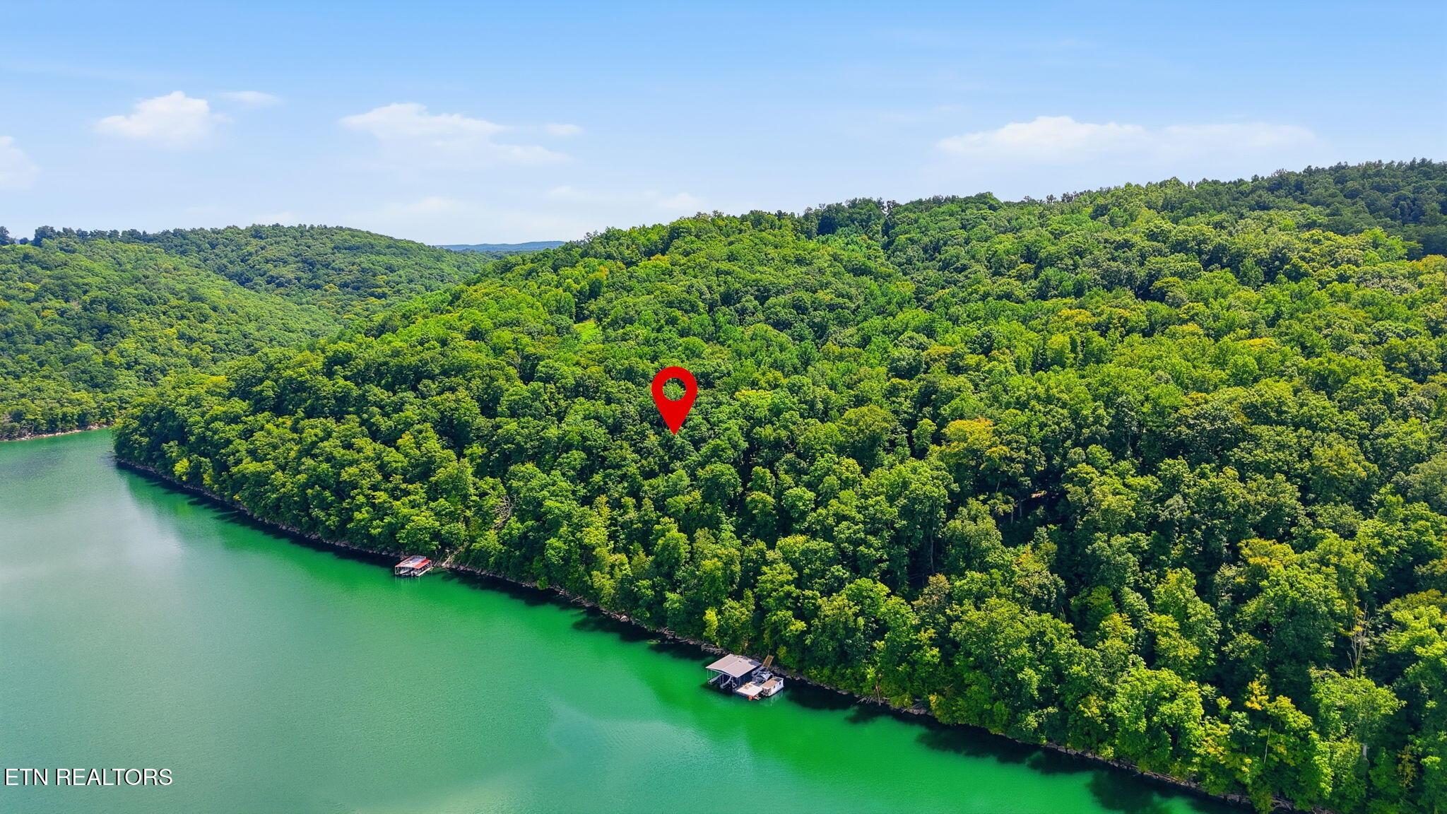 Norris Lake Real Estate - Image# 3