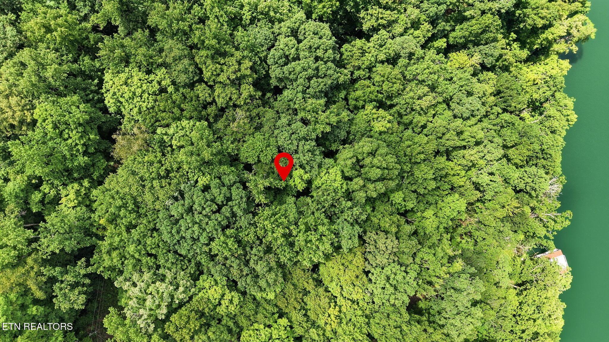 Norris Lake Real Estate - Image# 9
