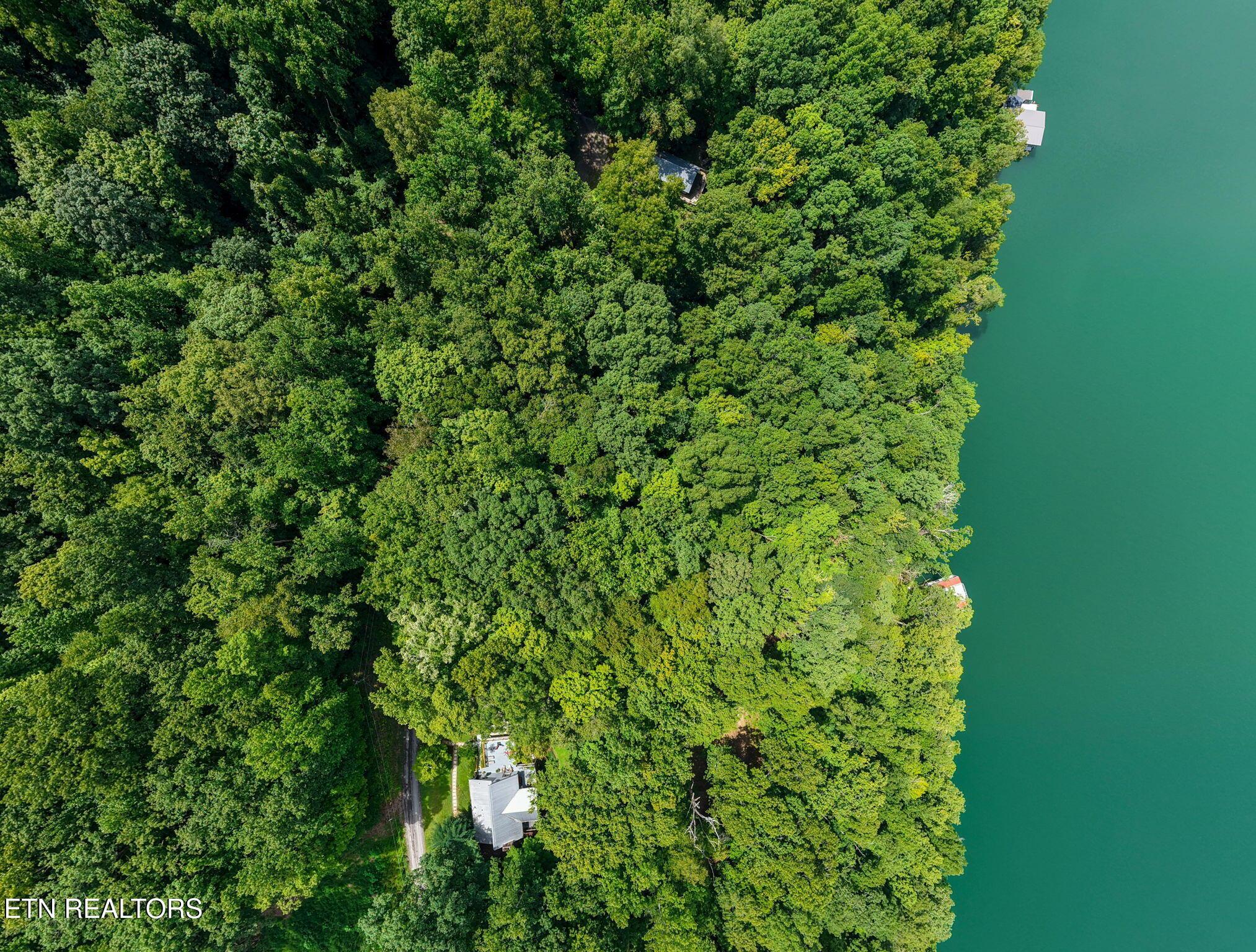 Norris Lake Real Estate - Image# 31