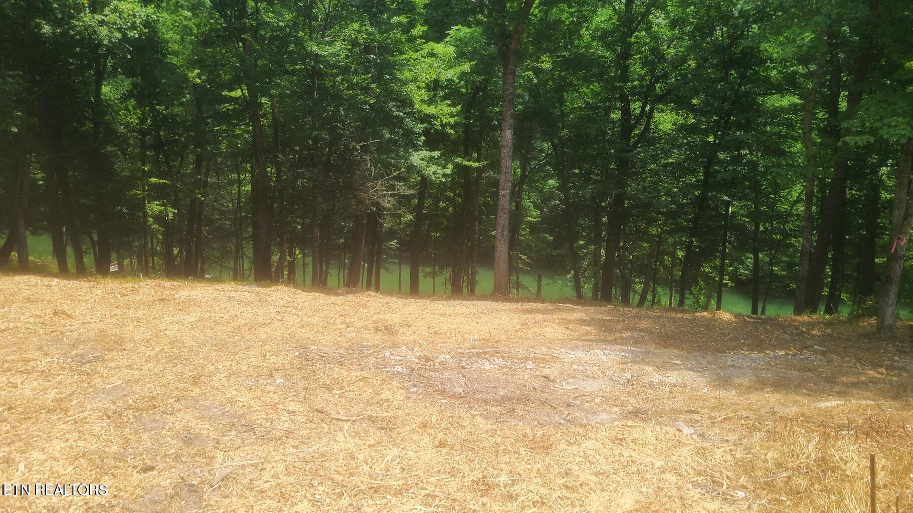 Norris Lake Real Estate - Image# 2