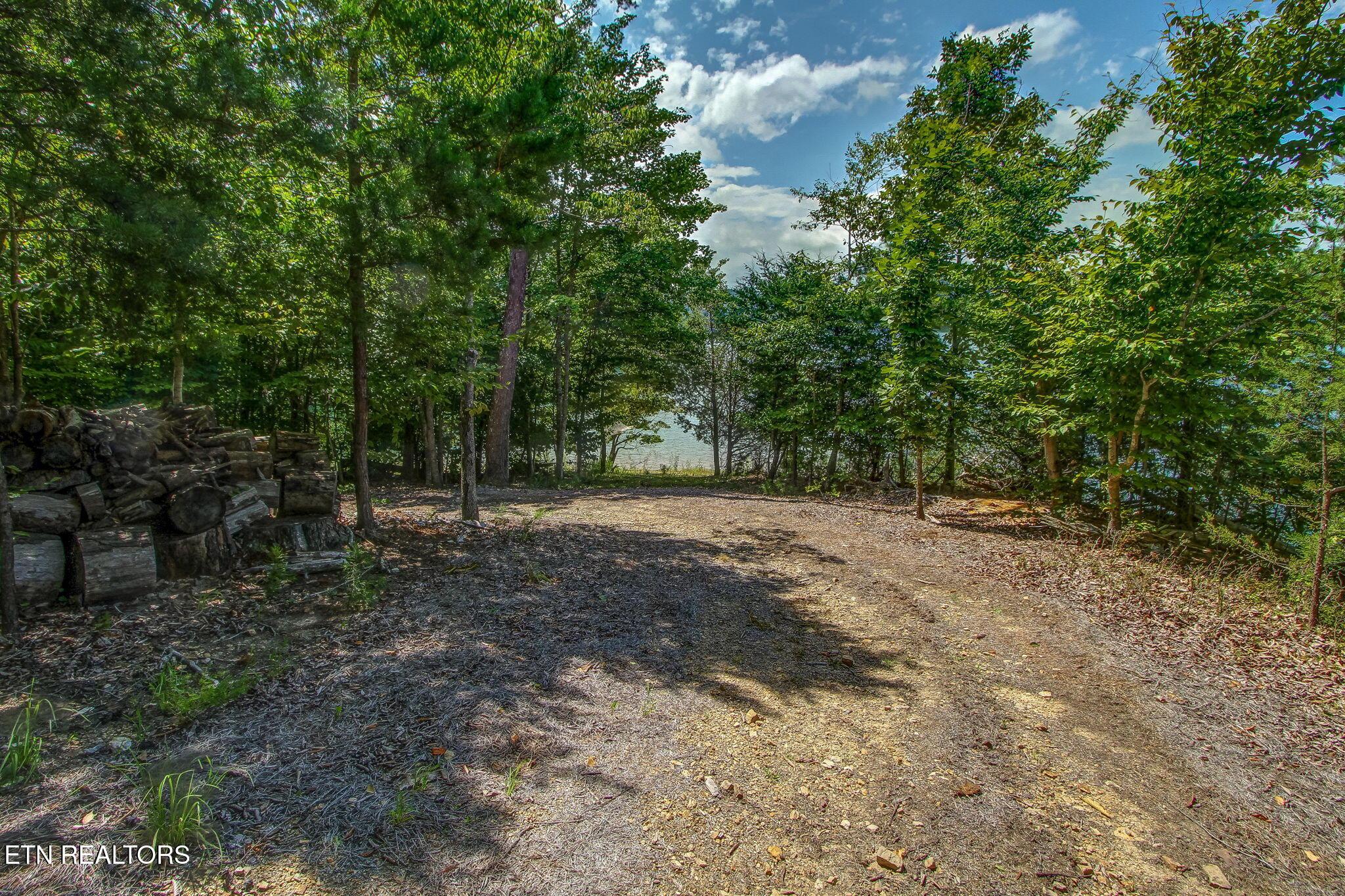 163 Scott Hollow, Sharps Chapel, TN - Norris Lake Real Estate - Image# 104