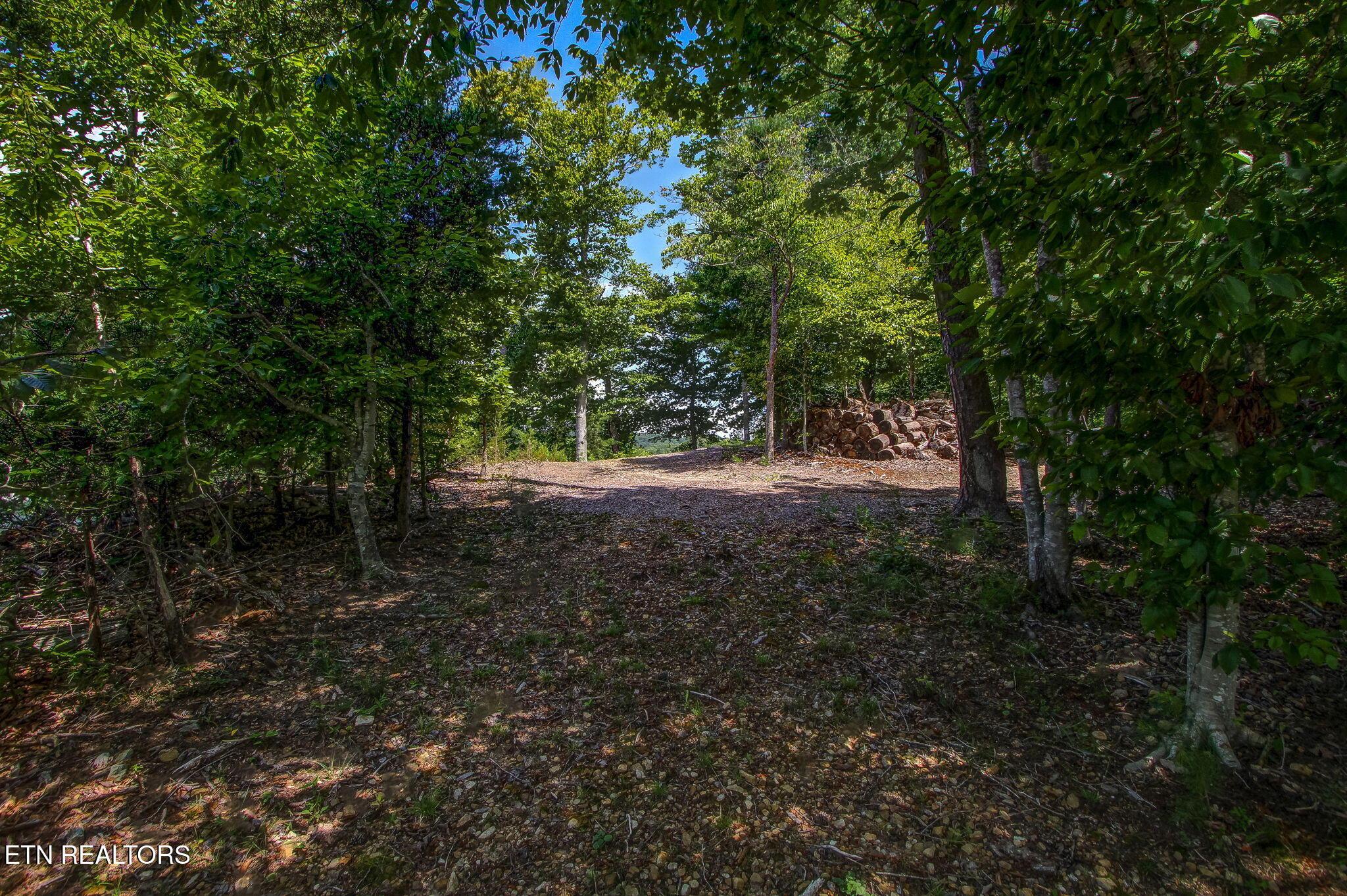 163 Scott Hollow, Sharps Chapel, TN - Norris Lake Real Estate - Image# 106