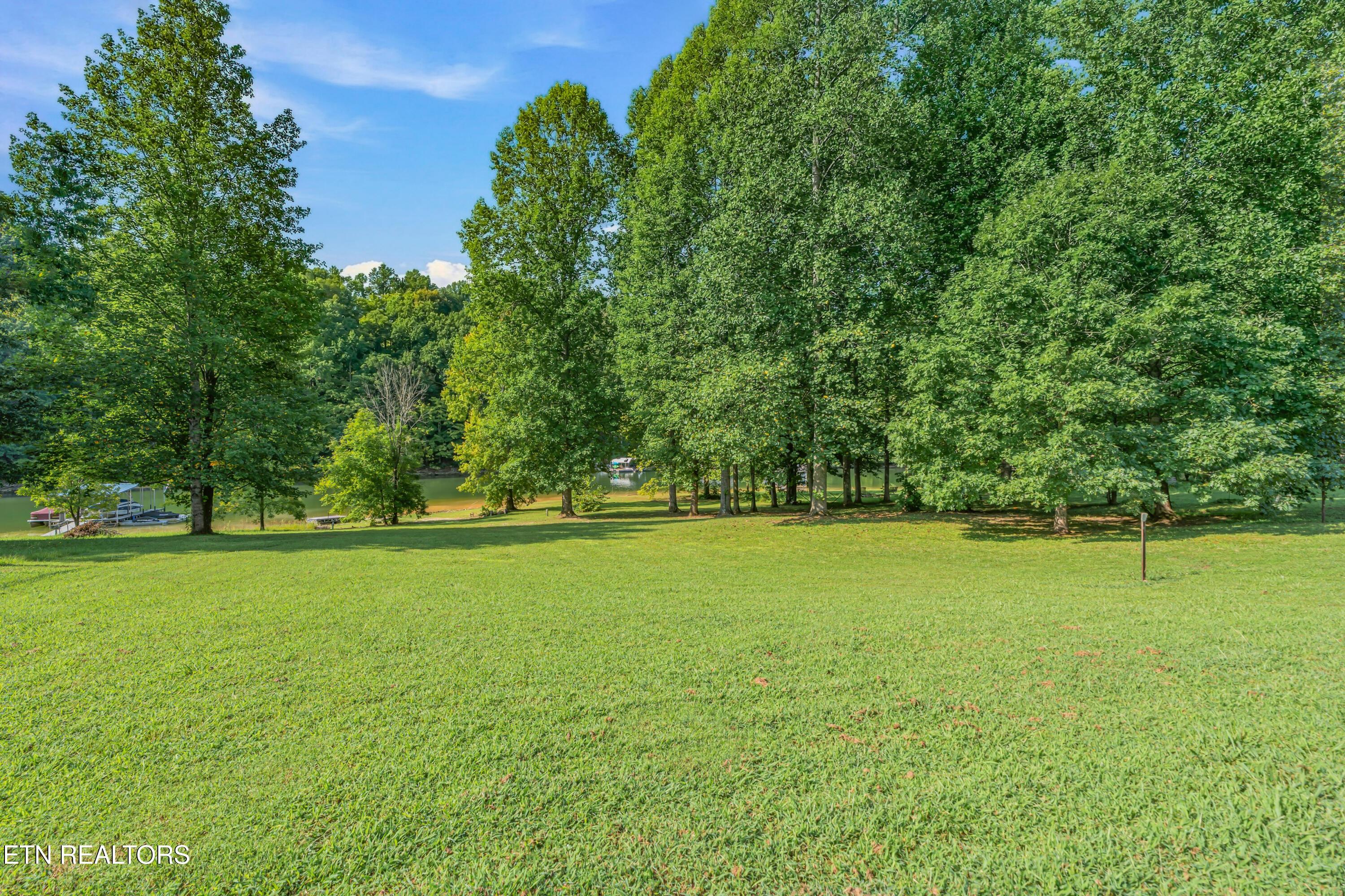 Norris Lake Real Estate - Image# 92