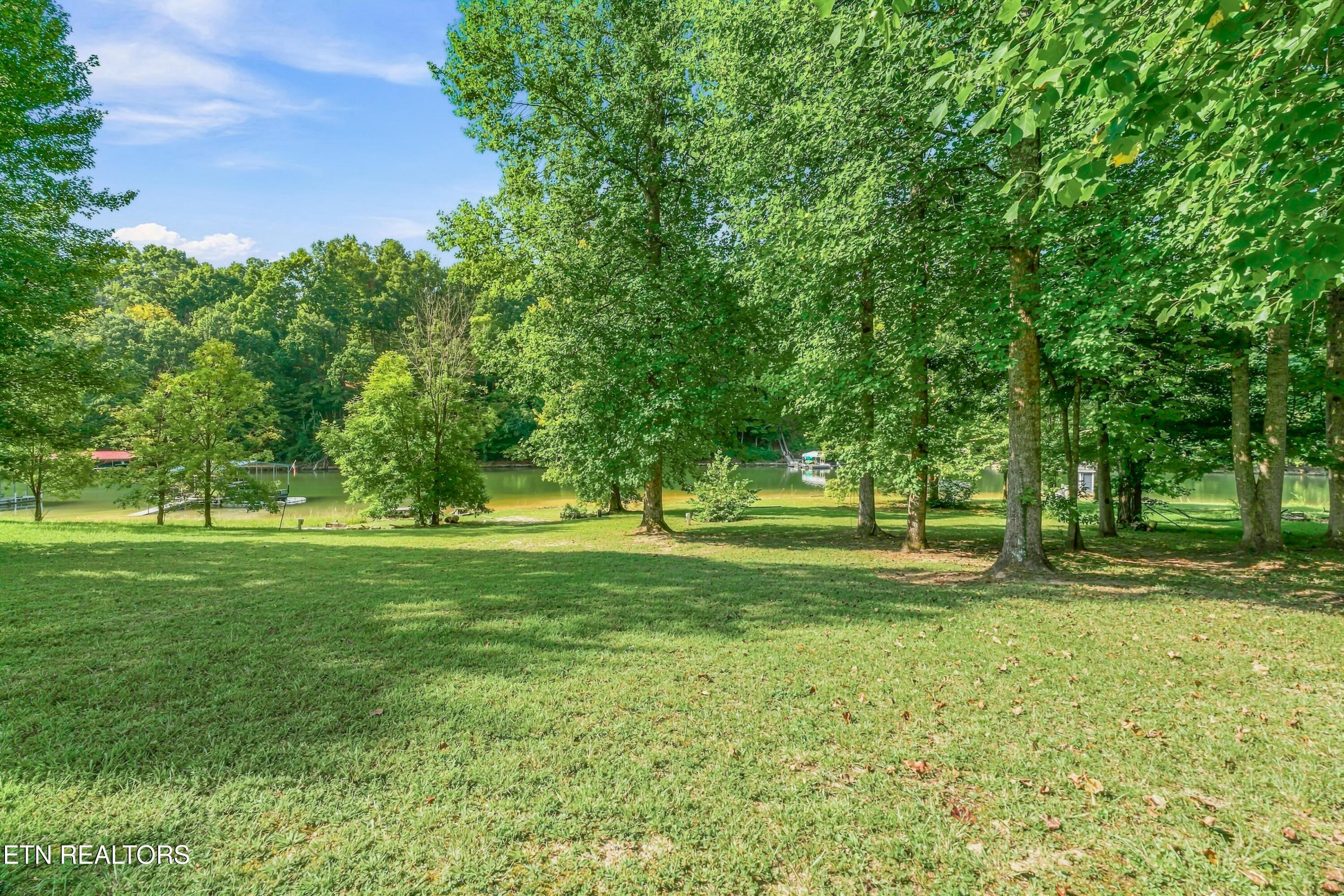 Norris Lake Real Estate - Image# 94