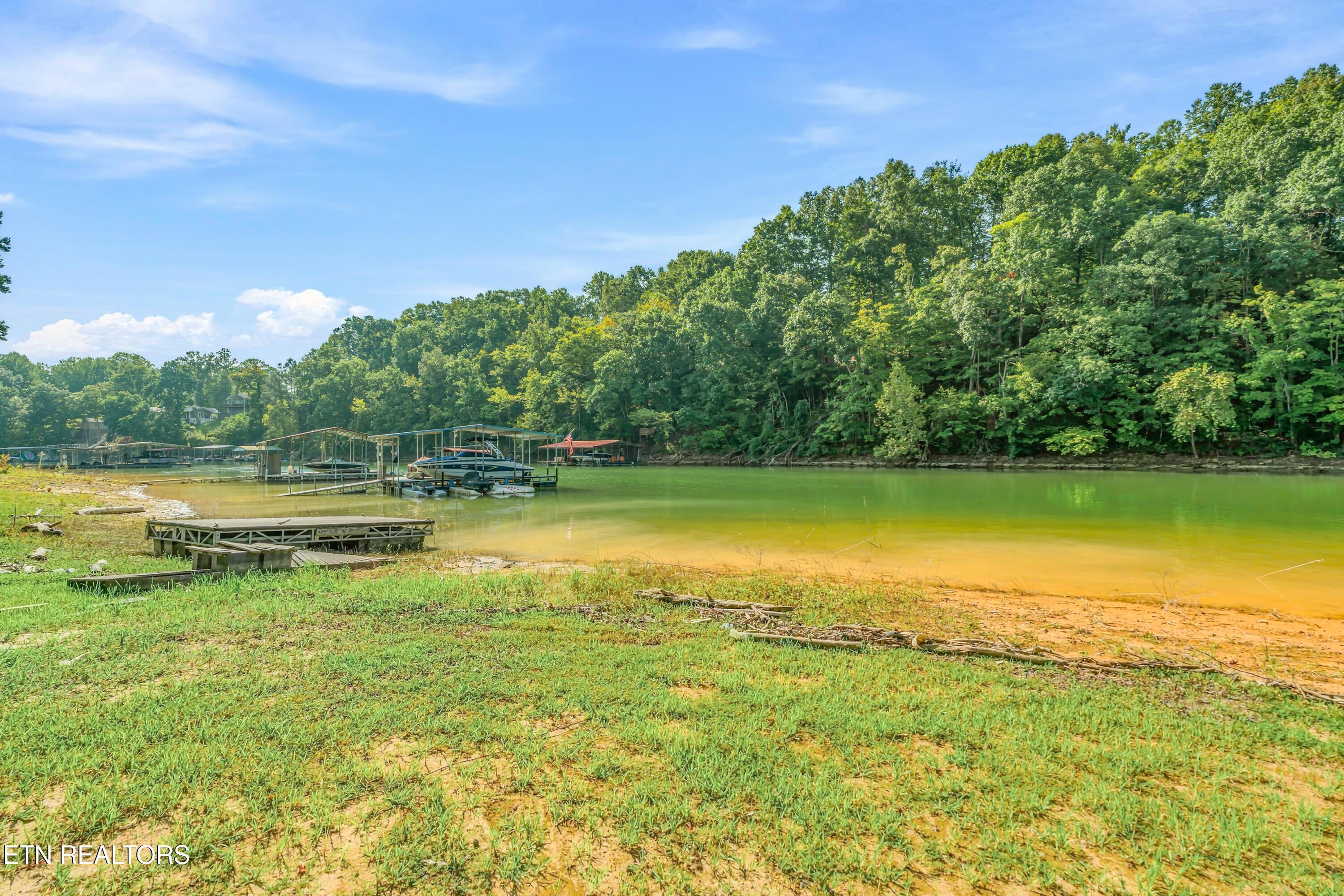 Norris Lake Real Estate - Image# 90