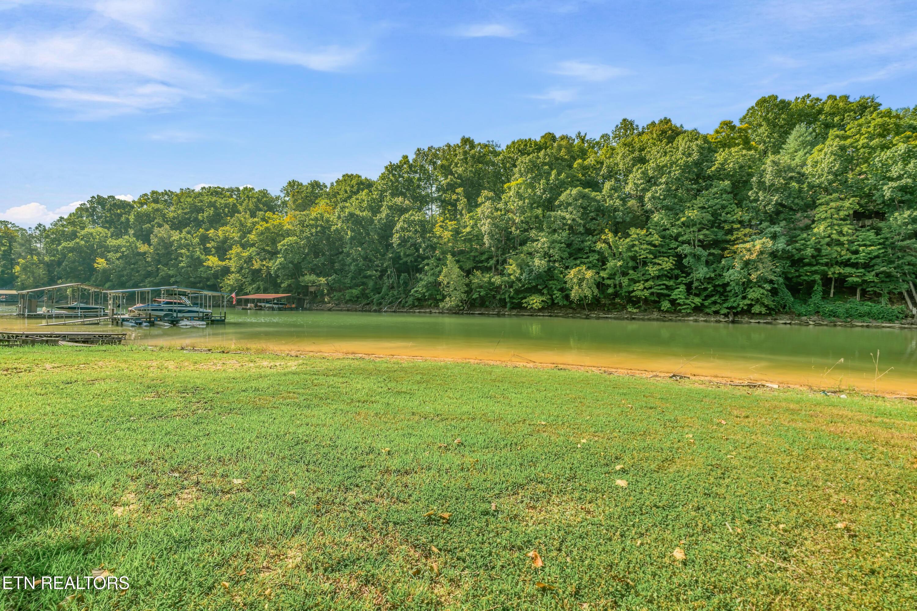 Norris Lake Real Estate - Image# 3