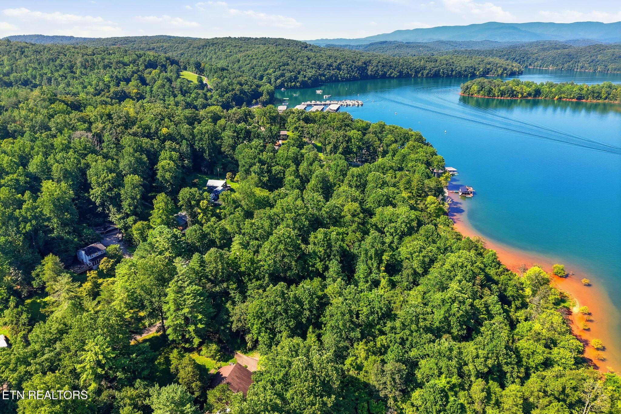 Norris Lake Real Estate - Image# 3